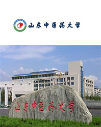 山東中醫藥大學